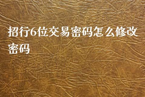 招行6位交易密码怎么修改密码_https://wap.yjjixie.cn_商业资讯_第1张