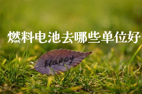 燃料电池去哪些单位好_https://wap.yjjixie.cn_商业资讯_第1张