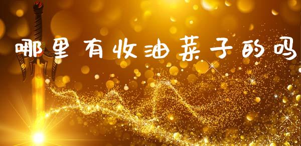 哪里有收油菜子的吗_https://wap.yjjixie.cn_证券市场_第1张
