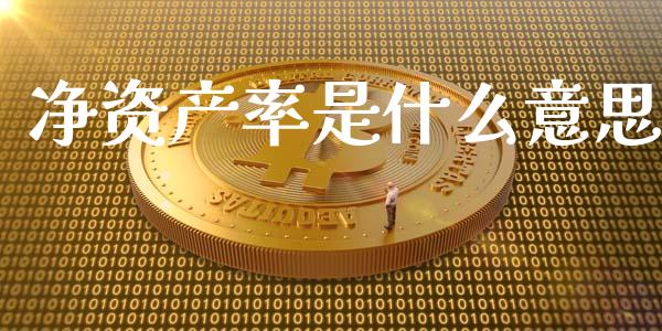 净资产率是什么意思_https://wap.yjjixie.cn_证券市场_第1张