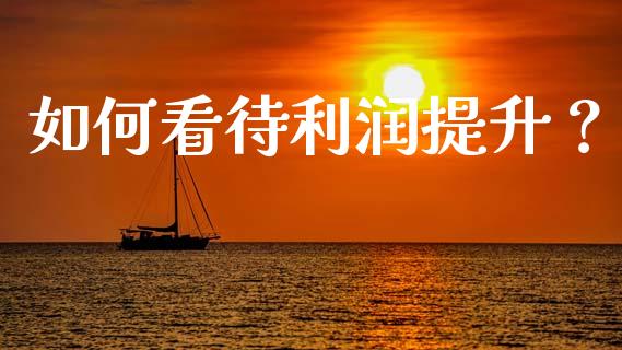 如何看待利润提升？_https://wap.yjjixie.cn_保险理财_第1张