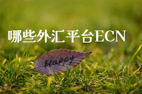 哪些外汇平台ECN_https://wap.yjjixie.cn_保险理财_第1张