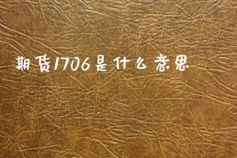 期货1706是什么意思_https://wap.yjjixie.cn_保险理财_第1张
