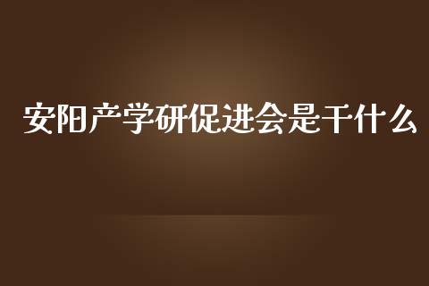 安阳产学研促进会是干什么_https://wap.yjjixie.cn_保险理财_第1张