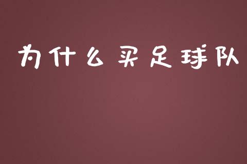 为什么买足球队_https://wap.yjjixie.cn_保险理财_第1张