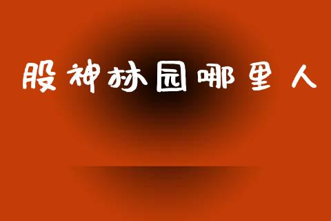 股神林园哪里人_https://wap.yjjixie.cn_证券市场_第1张