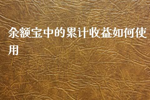 余额宝中的累计收益如何使用_https://wap.yjjixie.cn_商业资讯_第1张