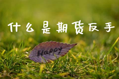 什么是期货反手_https://wap.yjjixie.cn_商业资讯_第1张