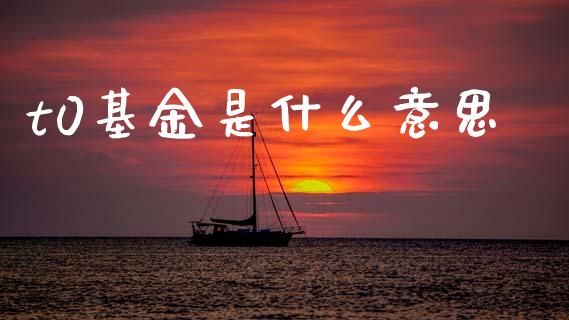 t0基金是什么意思_https://wap.yjjixie.cn_商业资讯_第1张