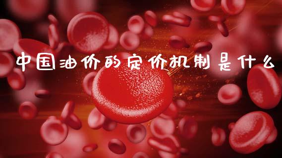 中国油价的定价机制是什么_https://wap.yjjixie.cn_证券市场_第1张