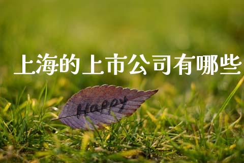 上海的上市公司有哪些_https://wap.yjjixie.cn_证券市场_第1张