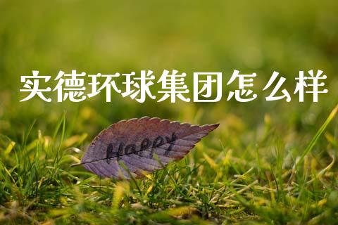 实德环球集团怎么样_https://wap.yjjixie.cn_保险理财_第1张
