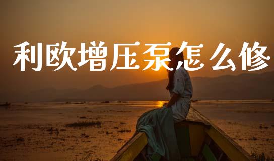 利欧增压泵怎么修_https://wap.yjjixie.cn_商业资讯_第1张