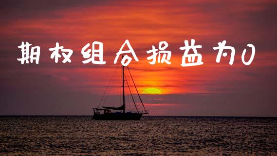 期权组合损益为0_https://wap.yjjixie.cn_证券市场_第1张