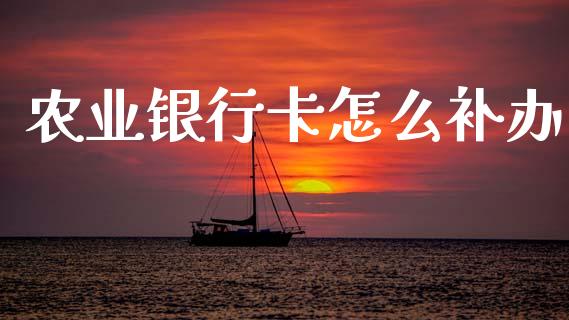 农业银行卡怎么补办_https://wap.yjjixie.cn_保险理财_第1张