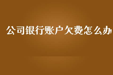 公司银行账户欠费怎么办_https://wap.yjjixie.cn_保险理财_第1张