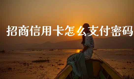 招商信用卡怎么支付密码_https://wap.yjjixie.cn_证券市场_第1张