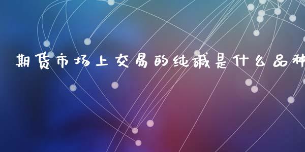 期货市场上交易的纯碱是什么品种_https://wap.yjjixie.cn_港股行情_第1张