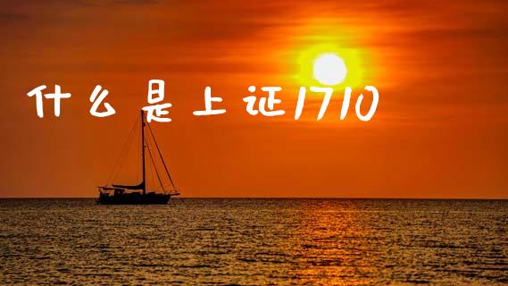 什么是上证1710_https://wap.yjjixie.cn_港股行情_第1张