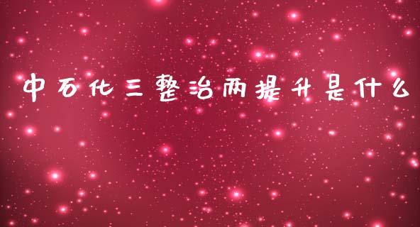 中石化三整治两提升是什么_https://wap.yjjixie.cn_证券市场_第1张