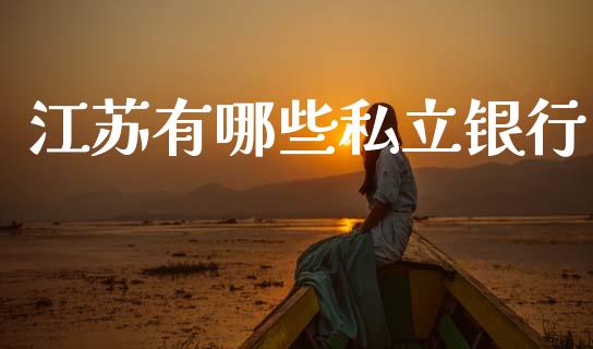 江苏有哪些私立银行_https://wap.yjjixie.cn_保险理财_第1张