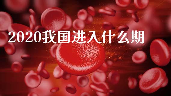 2020我国进入什么期_https://wap.yjjixie.cn_保险理财_第1张