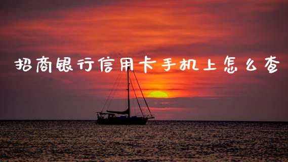 招商银行信用卡手机上怎么查_https://wap.yjjixie.cn_证券市场_第1张