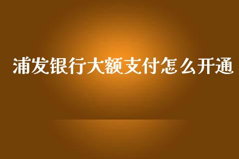 浦发银行大额支付怎么开通_https://wap.yjjixie.cn_证券市场_第1张
