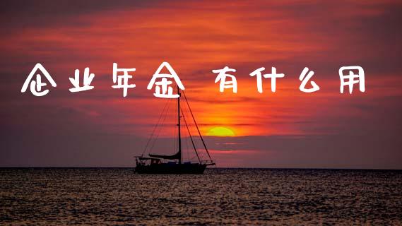 企业年金 有什么用_https://wap.yjjixie.cn_港股行情_第1张