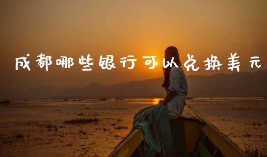 成都哪些银行可以兑换美元_https://wap.yjjixie.cn_港股行情_第1张