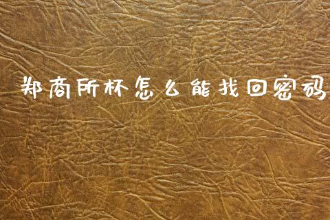 郑商所杯怎么能找回密码_https://wap.yjjixie.cn_港股行情_第1张