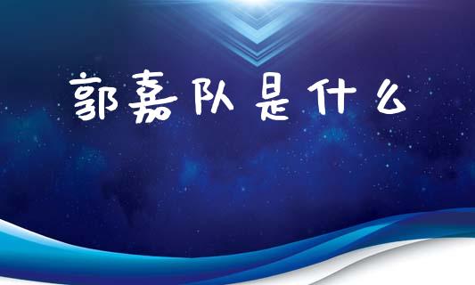 郭嘉队是什么_https://wap.yjjixie.cn_港股行情_第1张