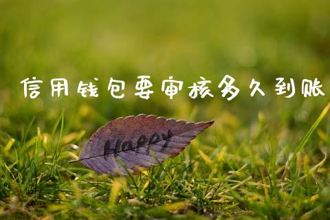 信用钱包要审核多久到账_https://wap.yjjixie.cn_港股行情_第1张