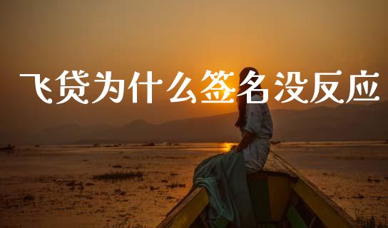飞贷为什么签名没反应_https://wap.yjjixie.cn_保险理财_第1张