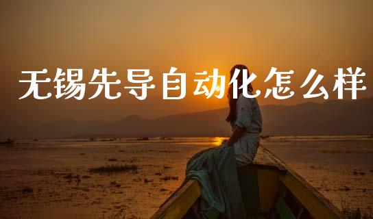 无锡先导自动化怎么样_https://wap.yjjixie.cn_保险理财_第1张