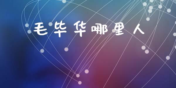 毛毕华哪里人_https://wap.yjjixie.cn_保险理财_第1张