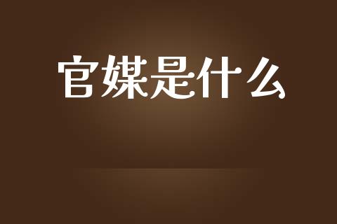 官媒是什么_https://wap.yjjixie.cn_商业资讯_第1张