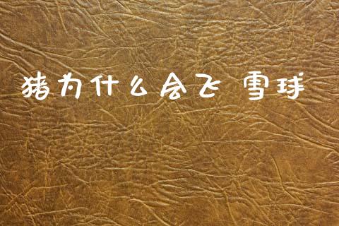 猪为什么会飞 雪球_https://wap.yjjixie.cn_港股行情_第1张