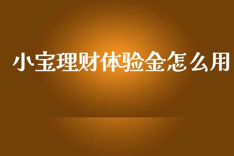 小宝理财体验金怎么用_https://wap.yjjixie.cn_商业资讯_第1张