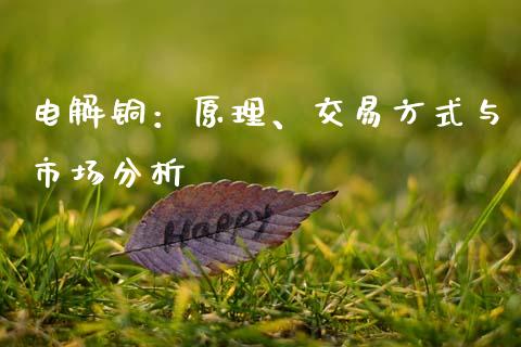 电解铜：原理、交易方式与市场分析_https://wap.yjjixie.cn_保险理财_第1张