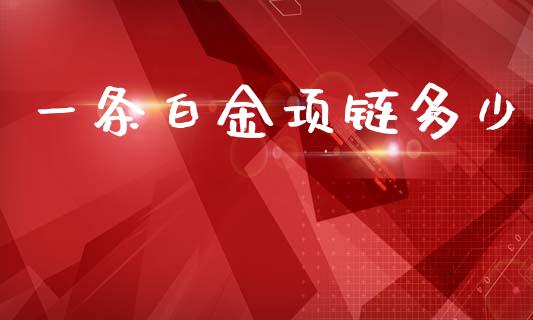 一条白金项链多少_https://wap.yjjixie.cn_港股行情_第1张