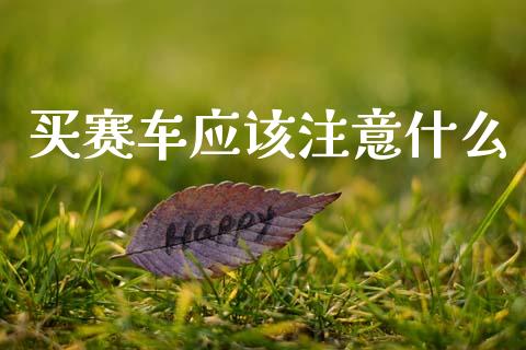 买赛车应该注意什么_https://wap.yjjixie.cn_港股行情_第1张