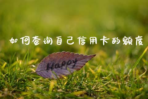 如何查询自己信用卡的额度_https://wap.yjjixie.cn_证券市场_第1张