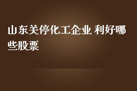 山东关停化工企业 利好哪些股票_https://wap.yjjixie.cn_证券市场_第1张