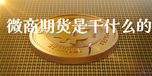 微商期货是干什么的_https://wap.yjjixie.cn_商业资讯_第1张