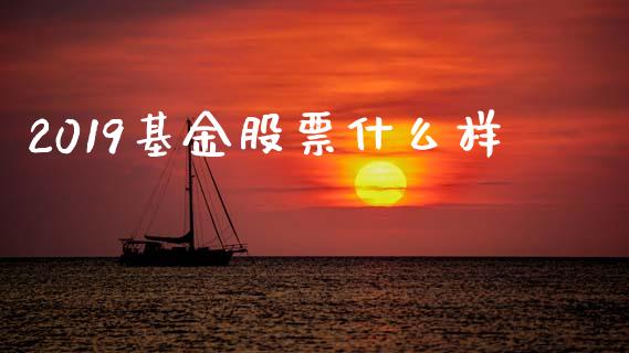 2019基金股票什么样_https://wap.yjjixie.cn_保险理财_第1张