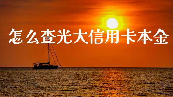 怎么查光大信用卡本金_https://wap.yjjixie.cn_证券市场_第1张