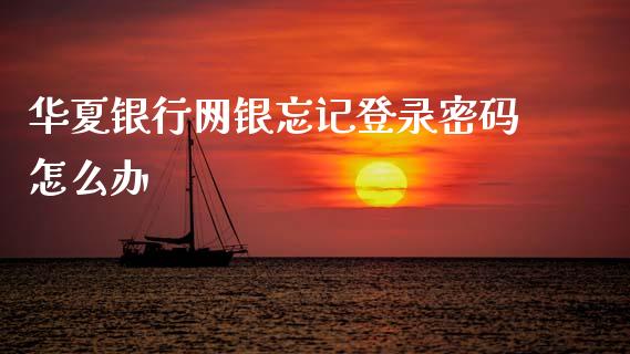 华夏银行网银忘记登录密码怎么办_https://wap.yjjixie.cn_证券市场_第1张