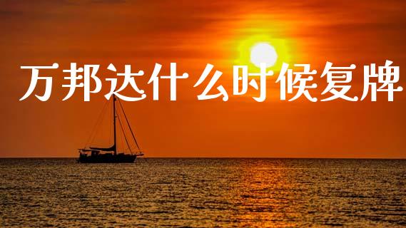 万邦达什么时候复牌_https://wap.yjjixie.cn_证券市场_第1张