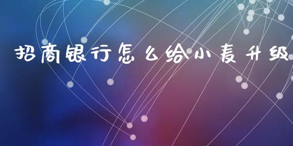 招商银行怎么给小麦升级_https://wap.yjjixie.cn_保险理财_第1张